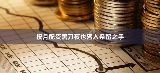 按月配资黑刀夜也落入希留之手