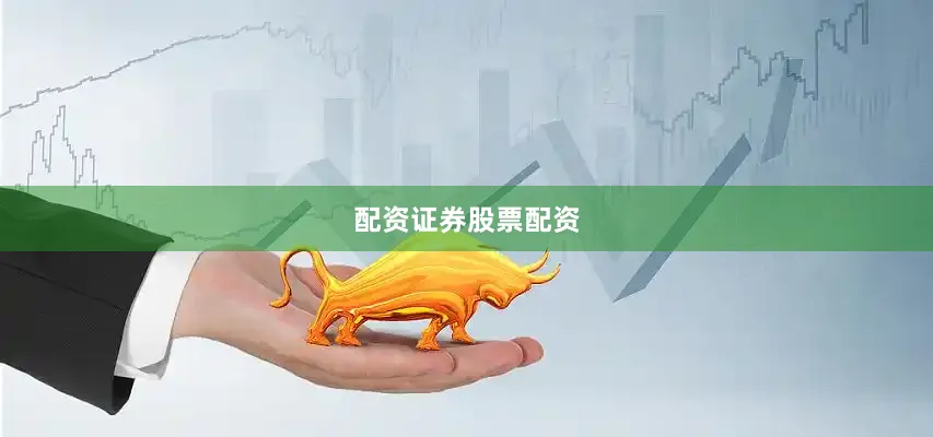 配资证券股票配资