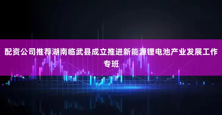 配资公司推荐湖南临武县成立推进新能源锂电池产业发展工作专班