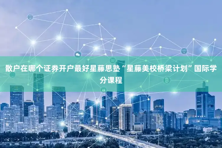 散户在哪个证券开户最好星藤思塾“星藤美校桥梁计划”国际学分课程